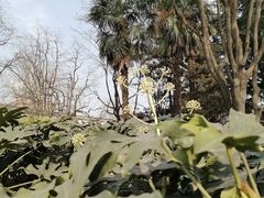 -大雁塔北广场音乐喷泉