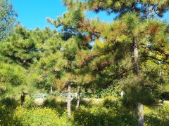 -奥林匹克森林公园北园-停车场