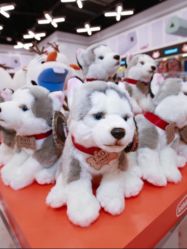 -kidsland(颐堤港店)