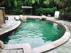 -雅安楠水阁温泉酒店