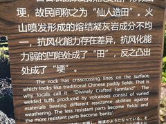 -楠溪江石桅岩