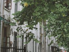 -老西关濑粉(文明路店)