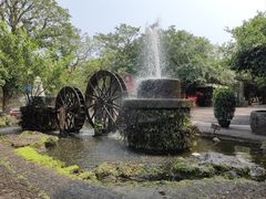 -海口火山口国家地质公园