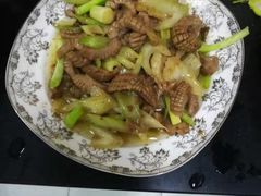 -田螺阿姨自营月嫂·育儿嫂(高新店)