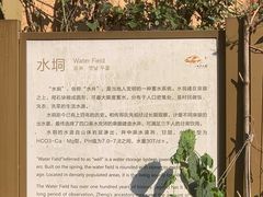 -阳产土楼