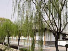 -白洋淀景区