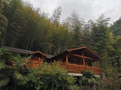 -丹山赤水风景名胜区