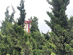 -星海广场
