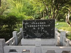 -莲湖公园