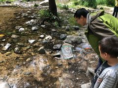 -碓臼峪自然风景区