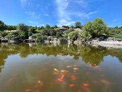 -北京西山国家森林公园