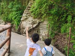 -少华山国家森林公园