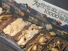 -东莞松山湖万象汇