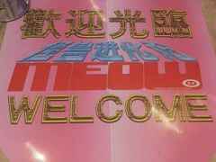 -武汉光谷K11