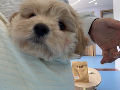 -博特宠物医院24h犬猫全科.骨科·异宠