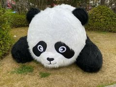-苏州太湖国家湿地公园