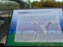 -盐城丹顶鹤湿地生态旅游区