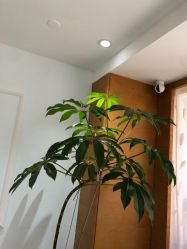 -HEYAN荷妍专业脱毛连锁机构