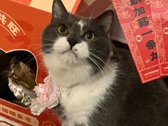 -鱼上·烤鱼(万象城店)