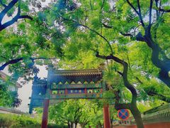 -北京国子监胡同