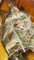-锦江国际大酒店·宴会厅