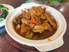 -沪碟·精菜坊(闵行店)