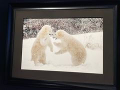 -罗红摄影艺术馆