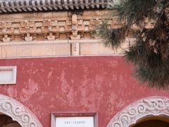 -磬锤峰森林公园