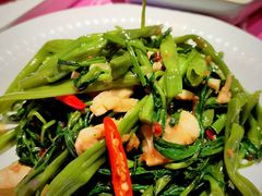 飞天酱炒通菜-新越盏·东南亚料理(捷登都会店)
