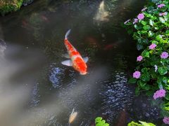 -Chom Cafe and Restaurant