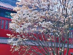 -大钟寺古钟博物馆