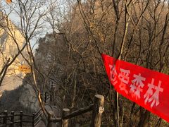 -云台山风景名胜区