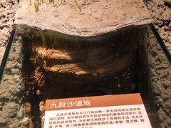 -上海长江河口科技馆