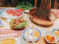 -东镇老火锅(长春路首店)