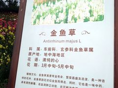 -保利石象湖景区