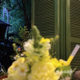 西双版纳森林系设计师餐厅🌿太浪漫了