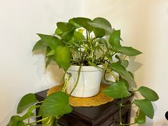 -松月茶楼