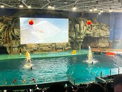 -威海华夏城景区