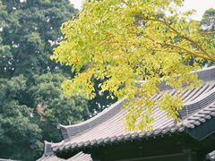 -荔湾湖公园