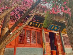 -洛阳白马寺