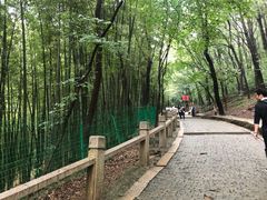 -灵岩山风景区
