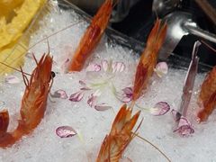 -打酱友•斑鱼海鲜粥火锅(吴桥店)