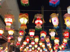 -锦江乐园舞狸花花游园会(夜场专享)