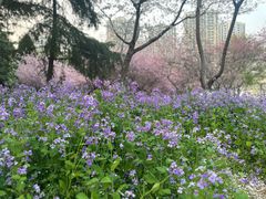 -白塘生态植物园