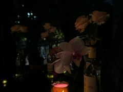 -Bistro Les Lilas丁香花小酒馆