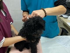 -宠颐生嘉德动物医院