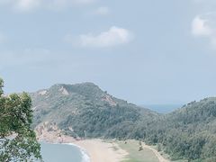 -广东惠东海龟国家级自然保护区