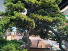 -马家斑.鲜鱼火锅(松湖万科店)