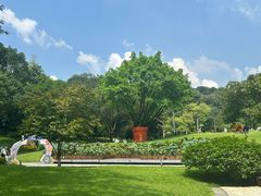 -云溪植物园