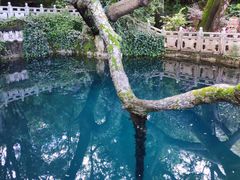 -蝴蝶泉公园